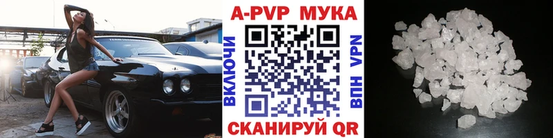 Alfa_PVP СК КРИС как найти Избербаш