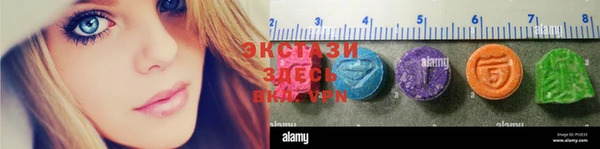 гидра Алексин